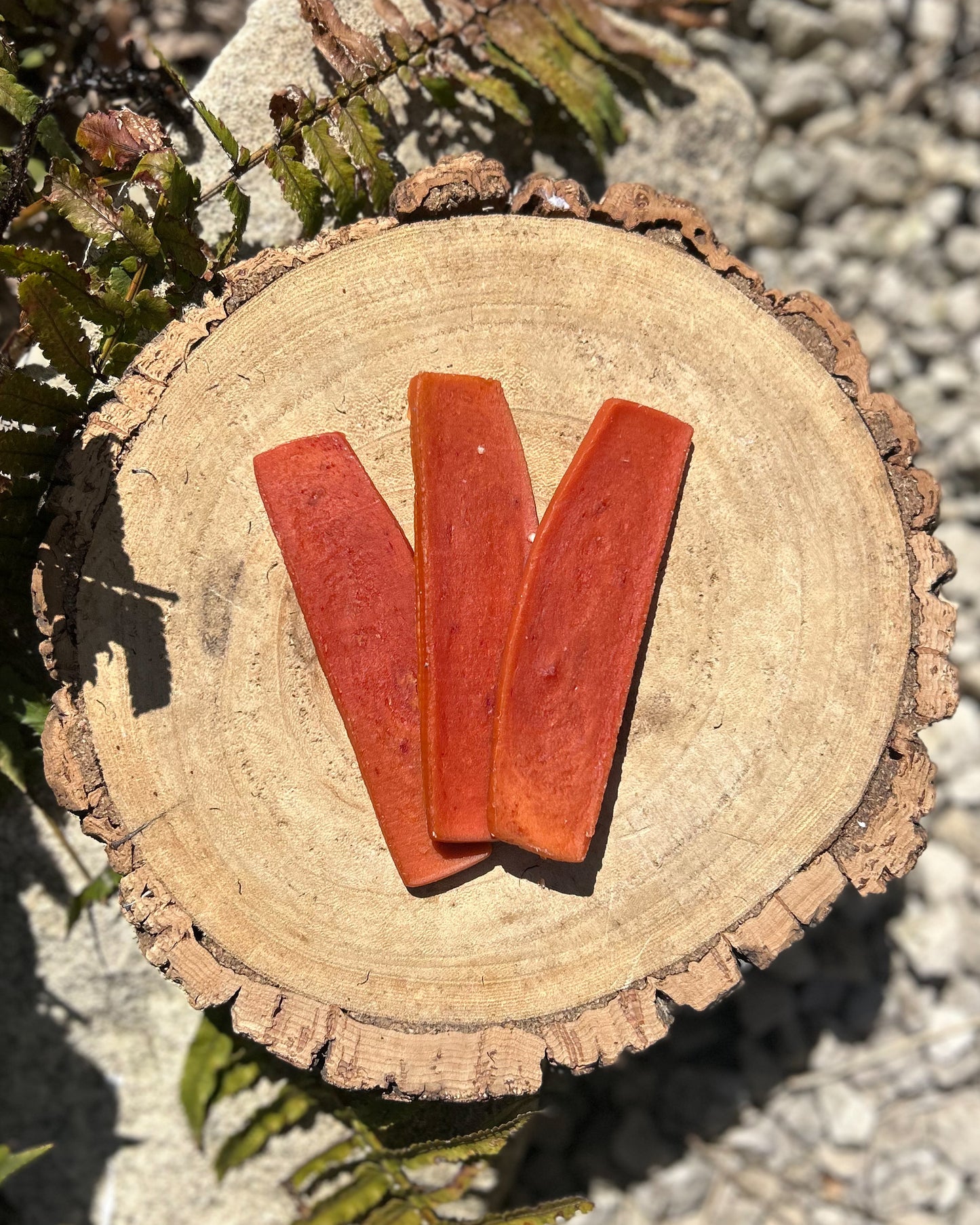 VENISON FILLET