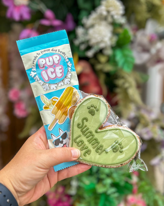 FIVER FRIDAY- NICE & ICE