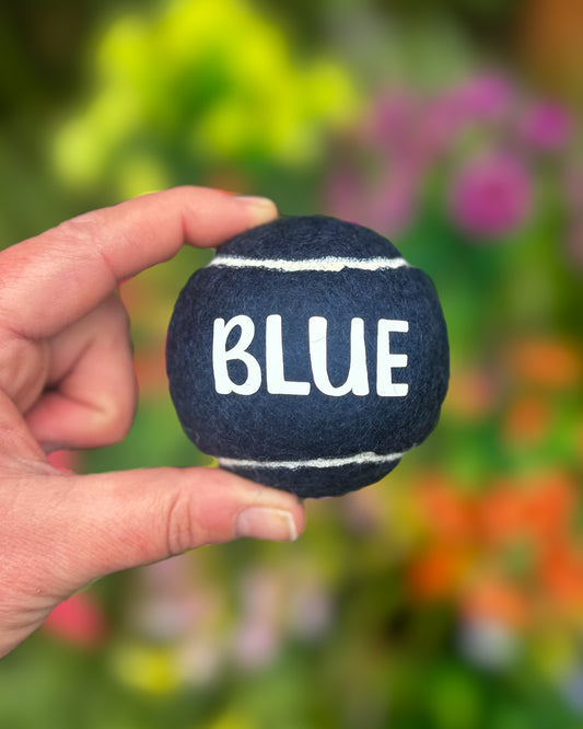 PERSONALISED TENNIS BALLS
