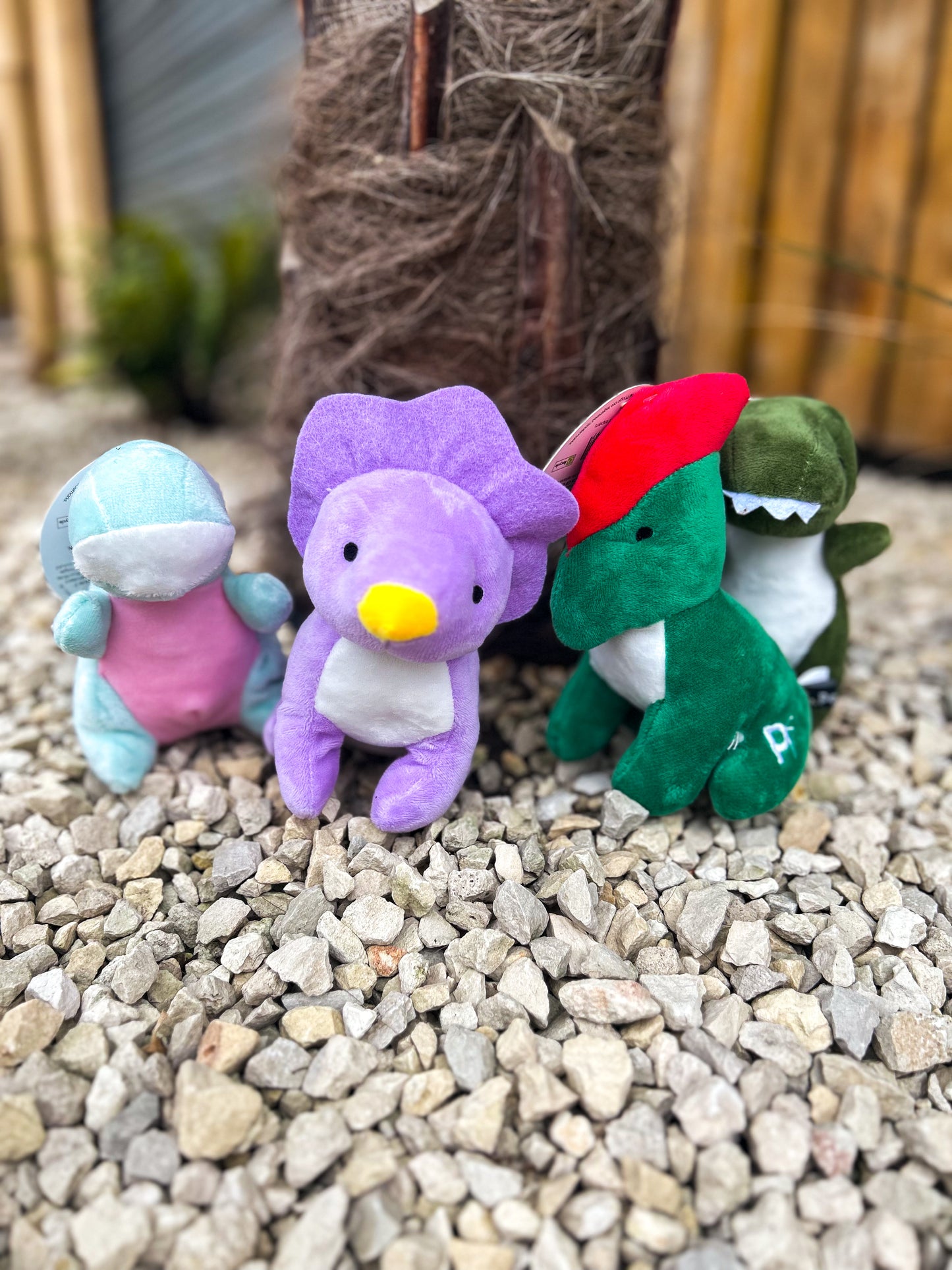 BABY DINO MINI PLUSH TOY