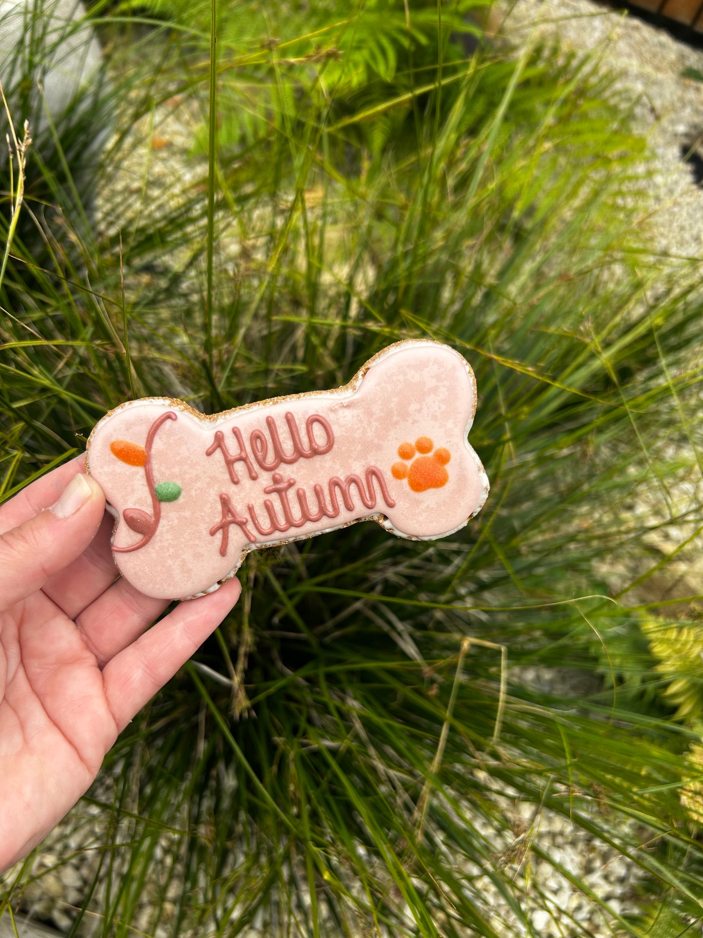 NELSON’S HELLO AUTUMN ICED BISCUIT BONE