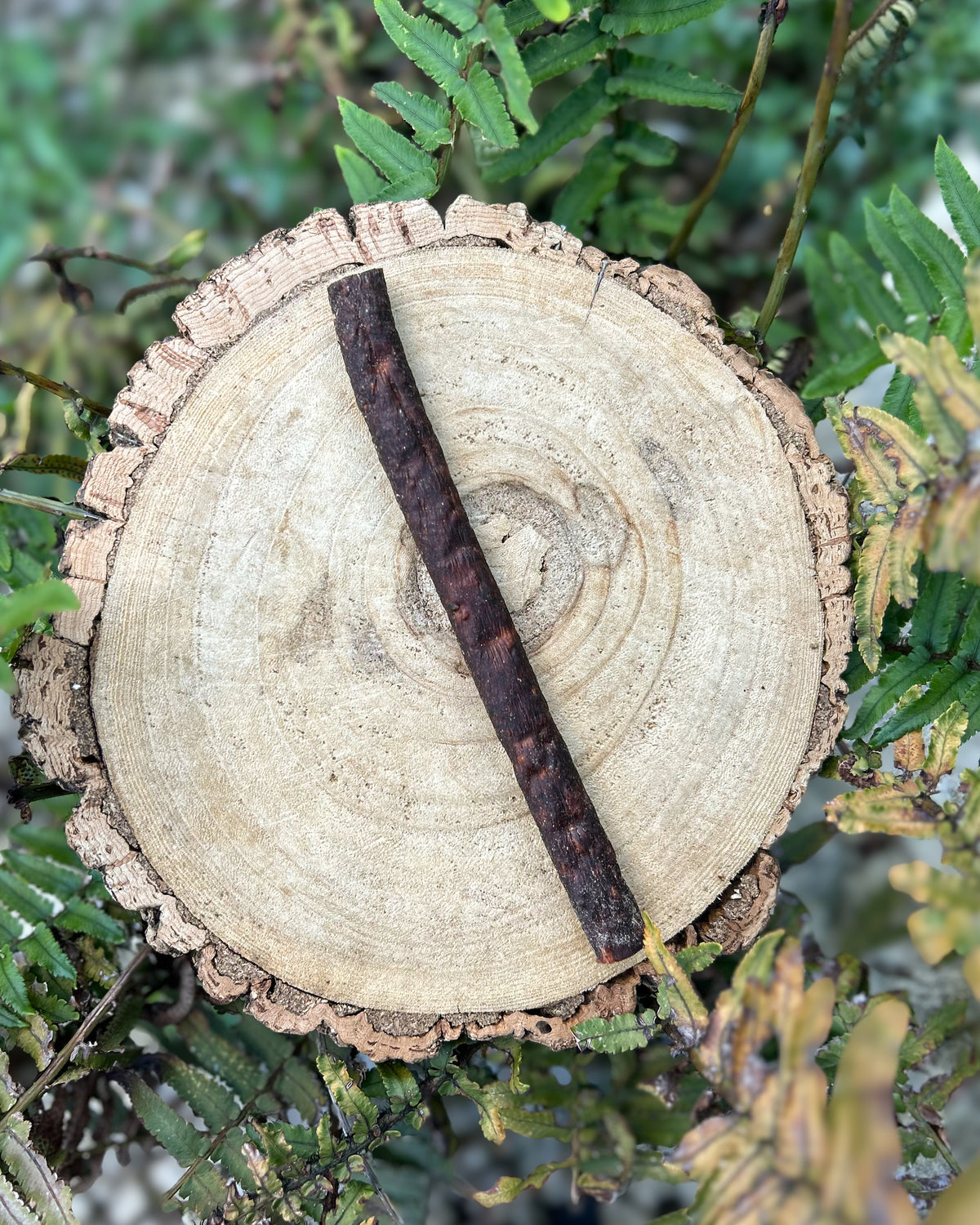 VENISON CABANOSSI STICKS (18CM)