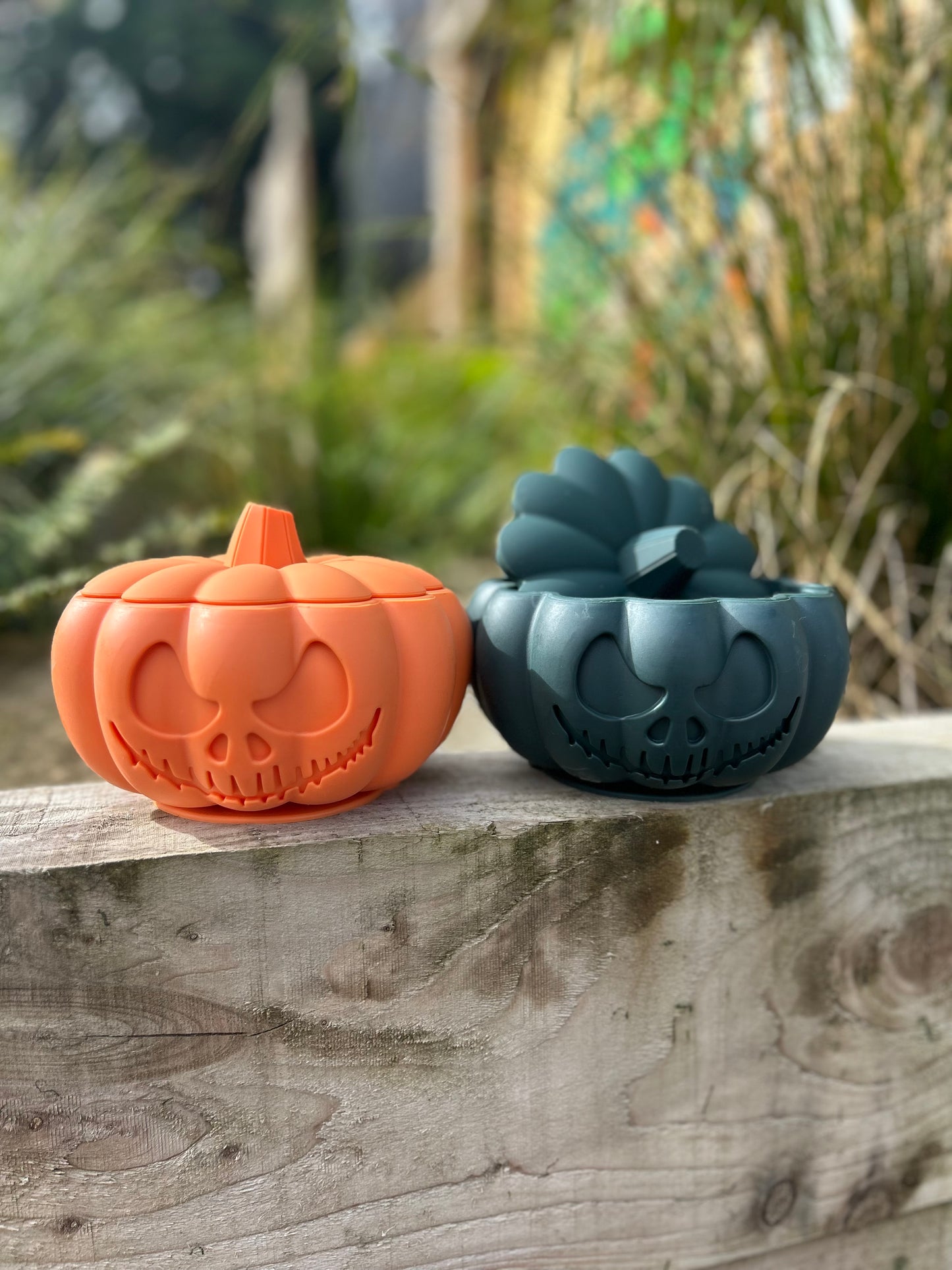 THE PUMPKIN POT ENRICHMENT BOWL