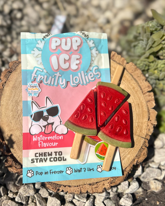 PUP ICE FRUITY LOLLIES WATERMELON (3 LOLLY PK - CONTAINS CHICKEN)
