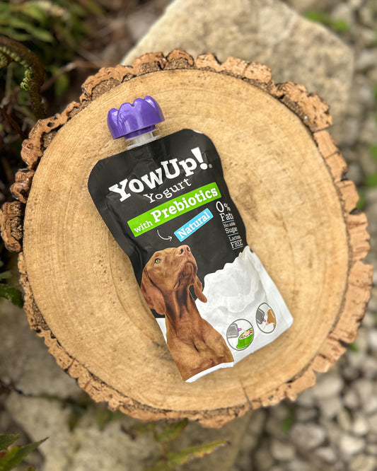 YOW UP! DOG YOGHURT