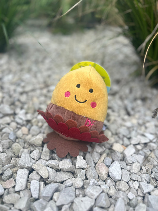 ALLY ACORN MULTI TEXTURE PLUSHIE TOY