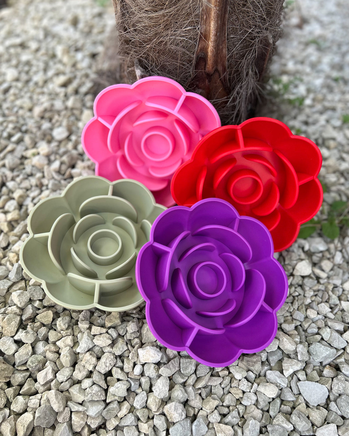 HUMP DAY HUSTLE - AUTUMN BLOOM