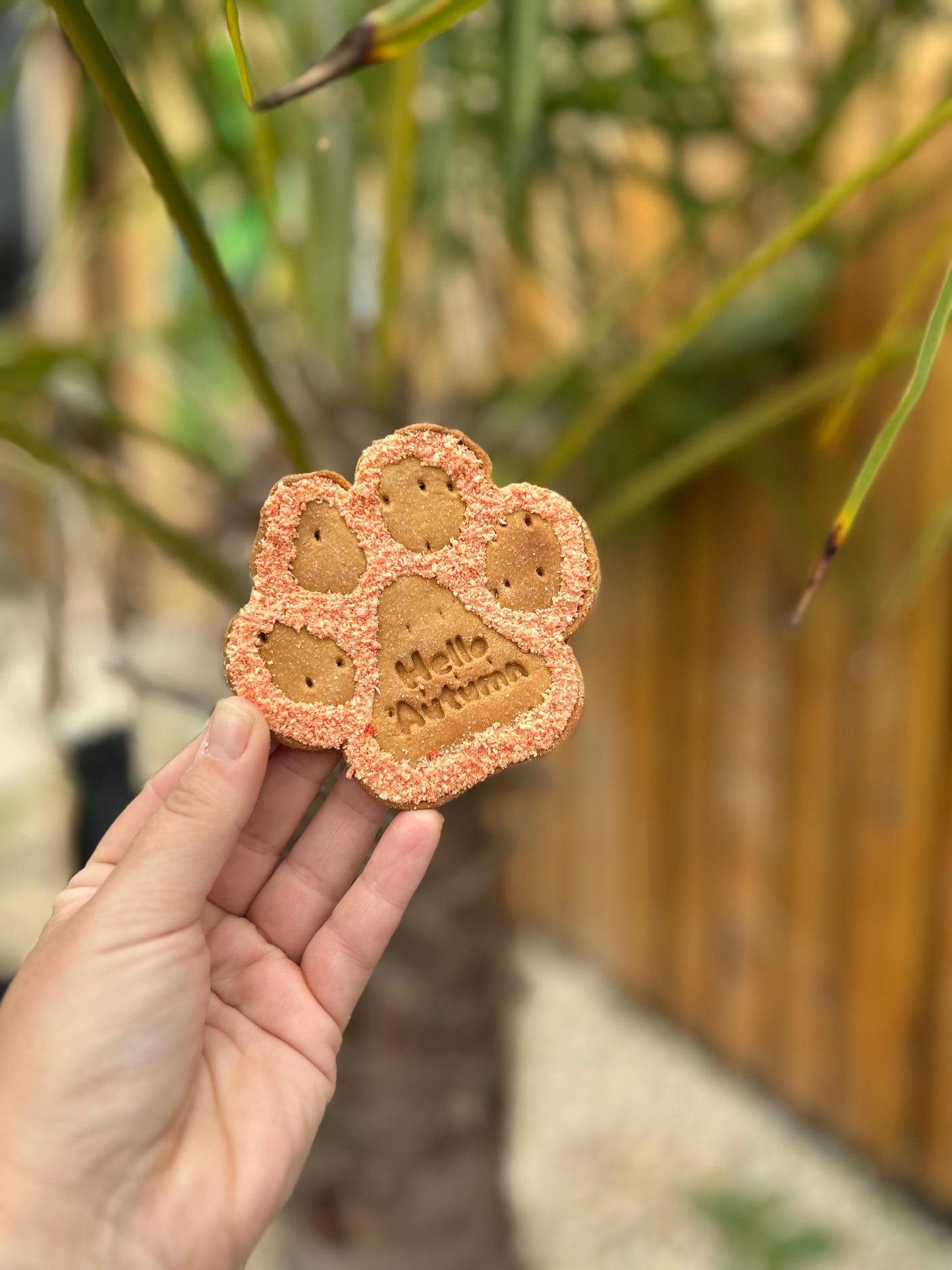 NELSON’S HELLO AUTUMN COCONUT PAW BISCUIT