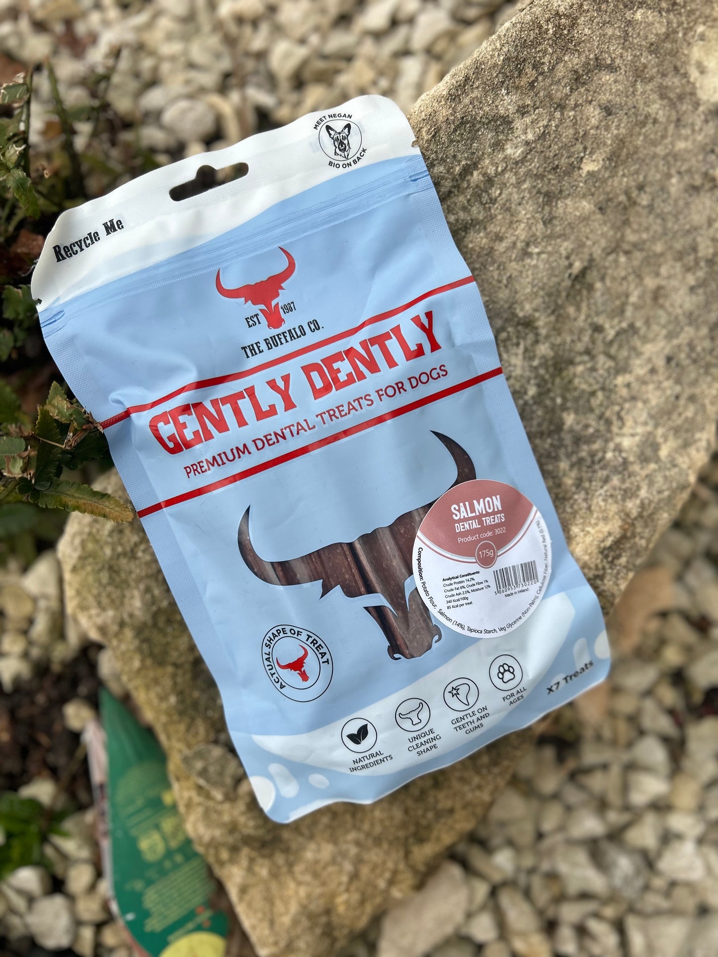 GENTLY DENTLY DENTAL CHEWS (2 FLAVOURS)