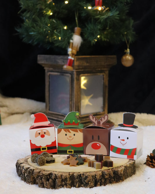 MINI CHRISTMAS TRAIN & TREAT BOXES