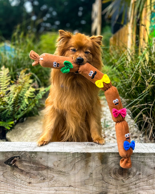 SAUSAGE SIZZLE PLUSHIE