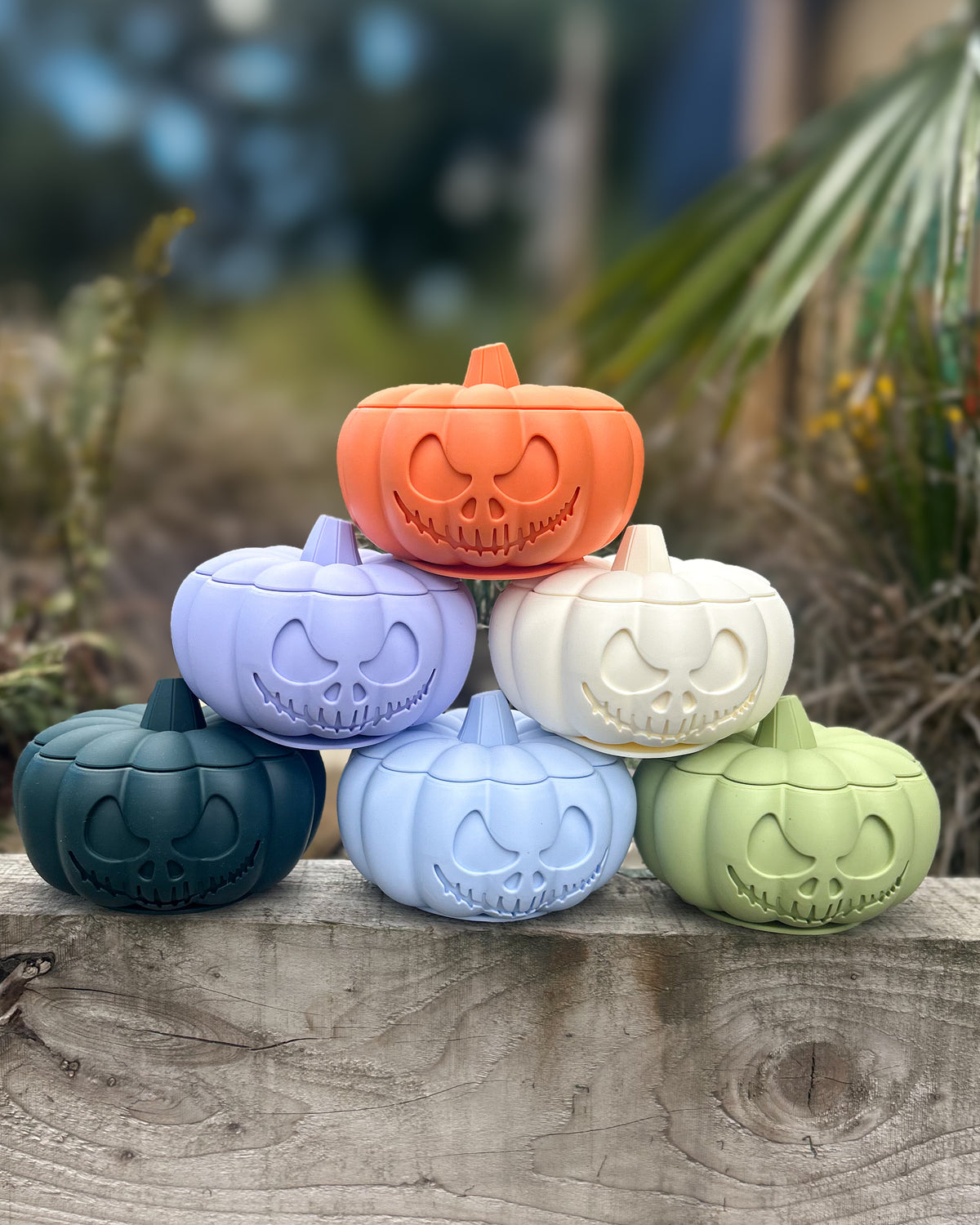 THE PUMPKIN POT ENRICHMENT BOWL