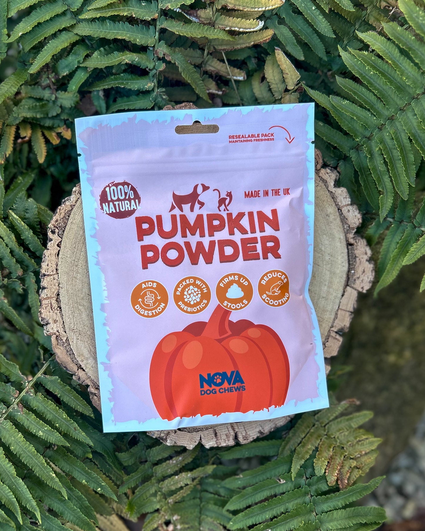 PUMPKIN POWDER 200g
