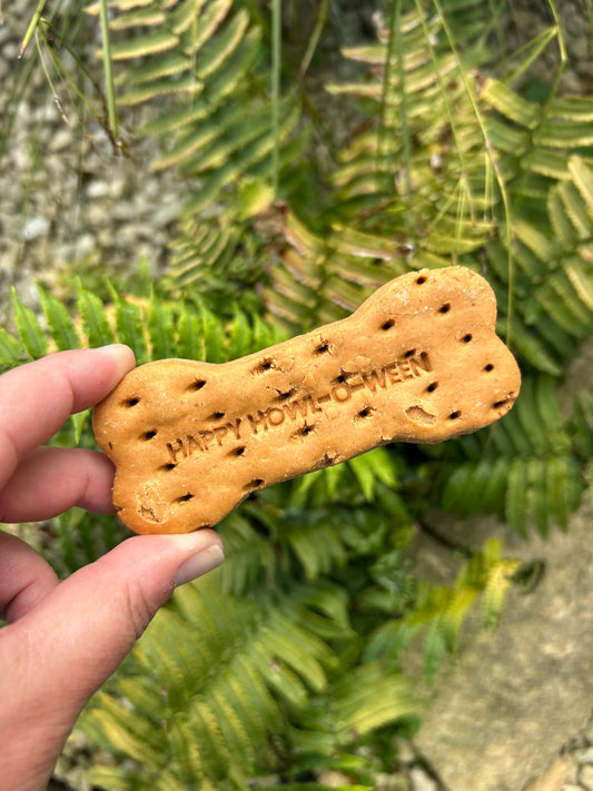 APAWTISER HAPPY HOWLOWEEN BISCUIT BONE TREAT