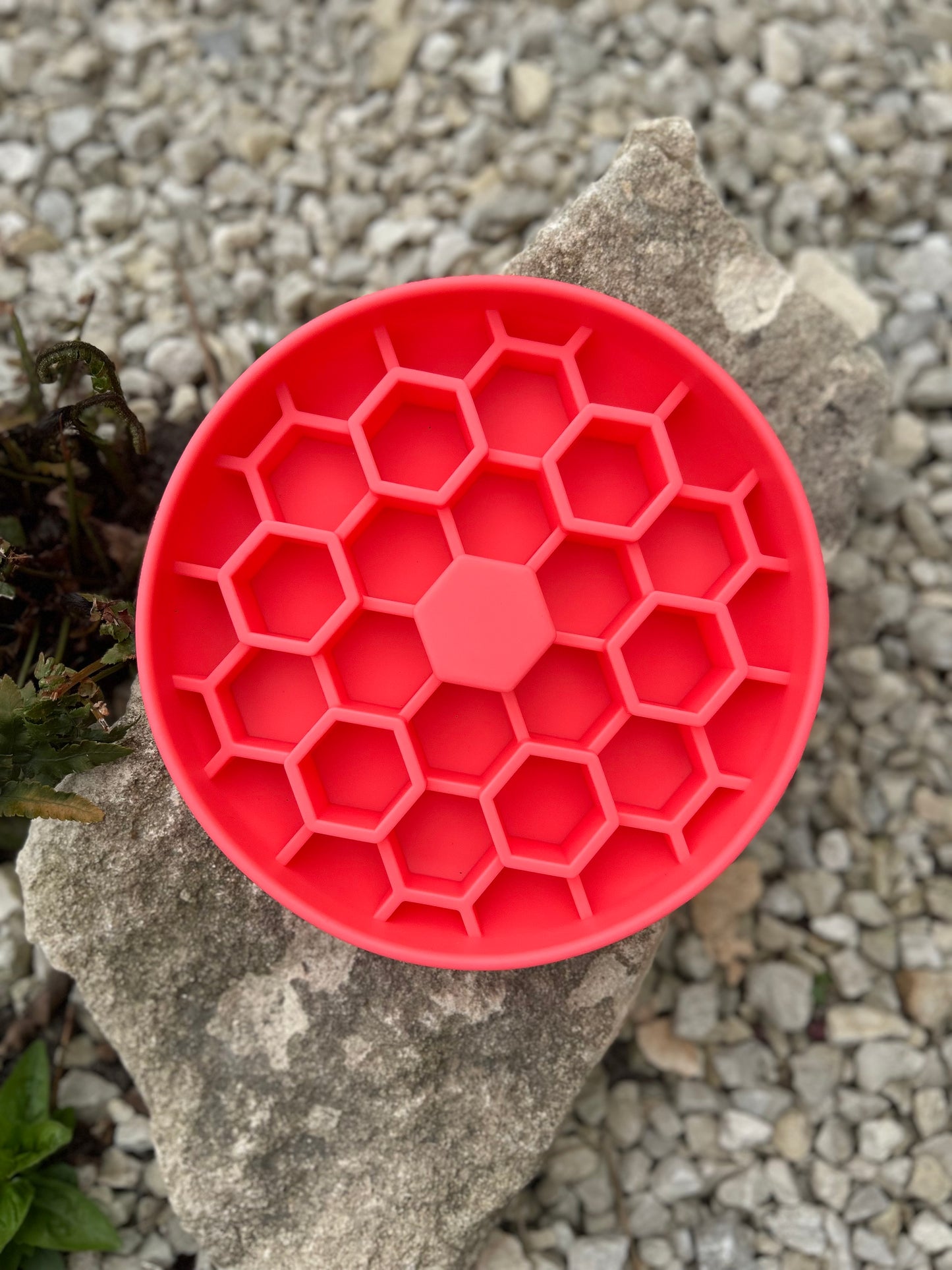 HONEYCOMB HIVE SILICONE SLOW FEEDER BOWL