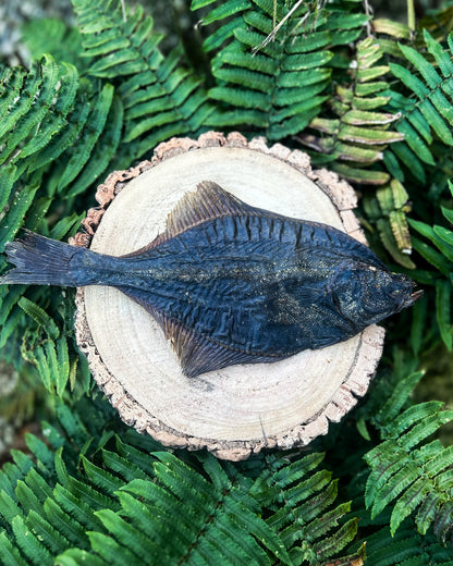 WHOLE FLOUNDER FISH