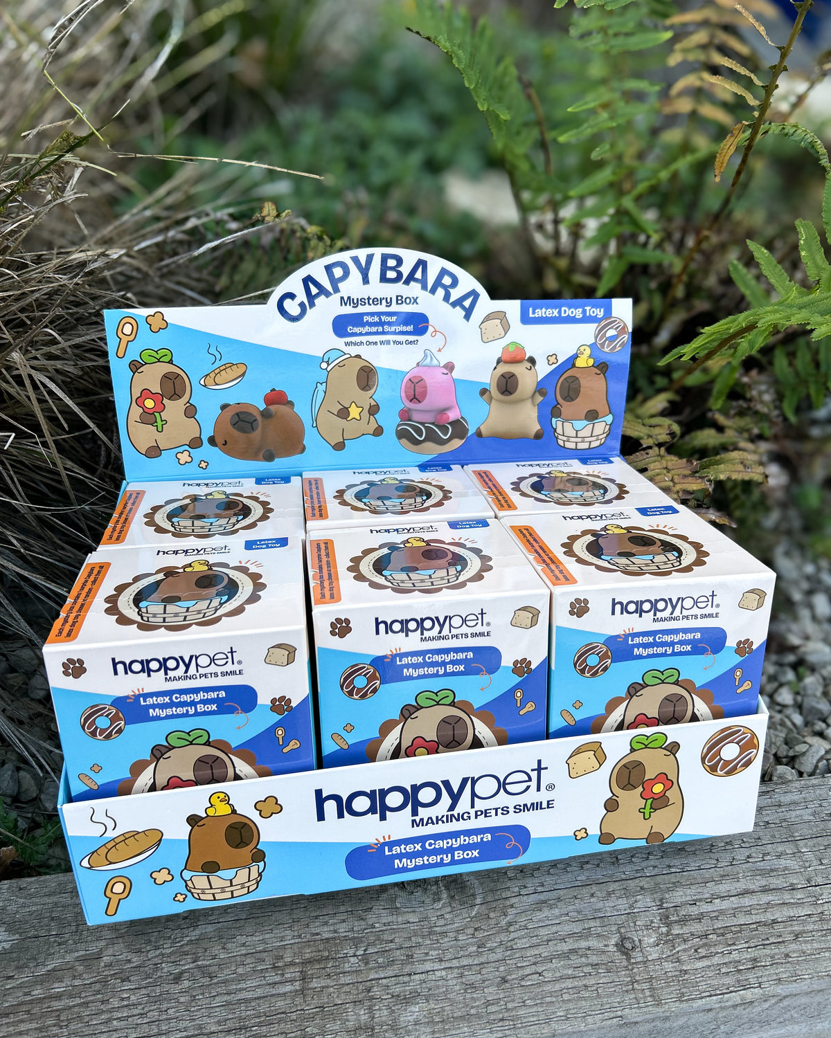 CORBY CAPYBARA BLIND BOX LATEX SQUEAKY DOG (MYSTERY BOX)