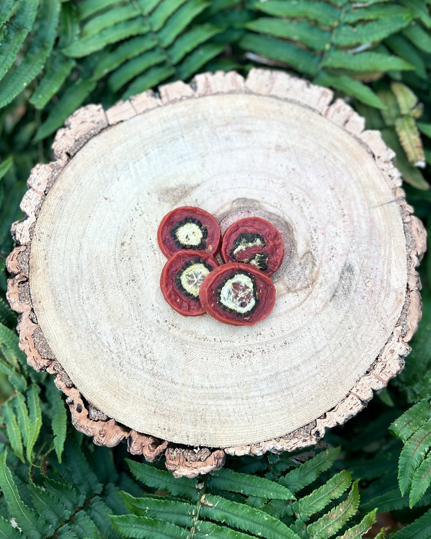 DUCK & CUCUMBER CHIPS (4 PIECES)