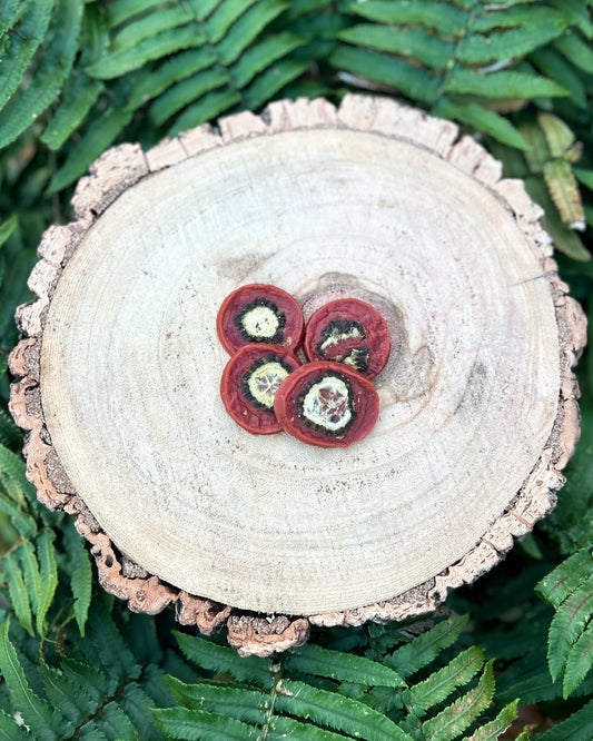 DUCK & CUCUMBER CHIPS (4 PIECES)