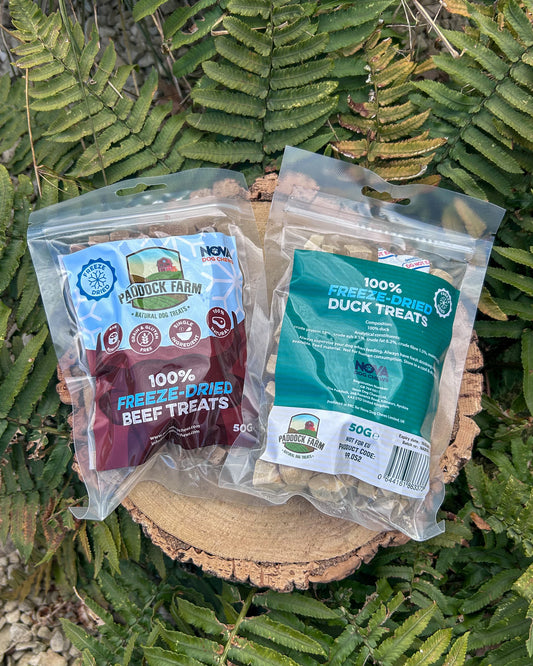 FREEZE DRIED 100% VARIOUS MEATS PROTEIN CUBES / TRAINING TREATS