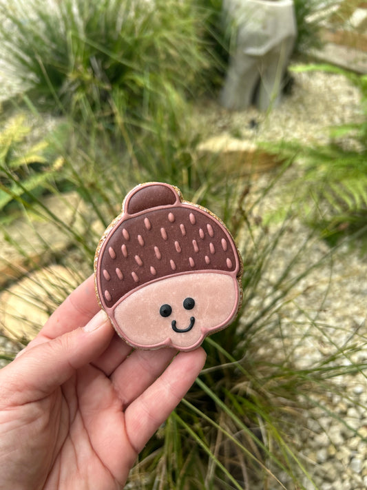NELSON’S SMILEY ACORN AUTUMN ICED BISCUIT BONE