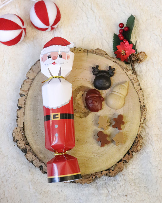 SANTA & FRIENDS DOG TREAT CRACKER