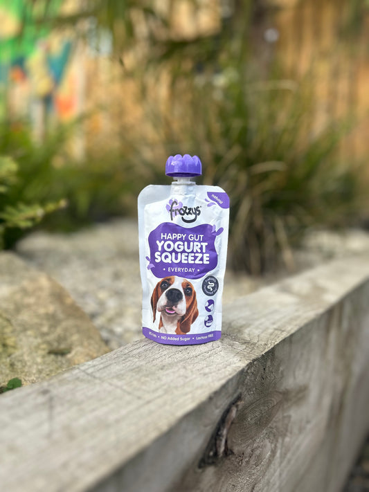 FROZZYS HAPPY GUT YOGHURT SQUEEZE POUCH