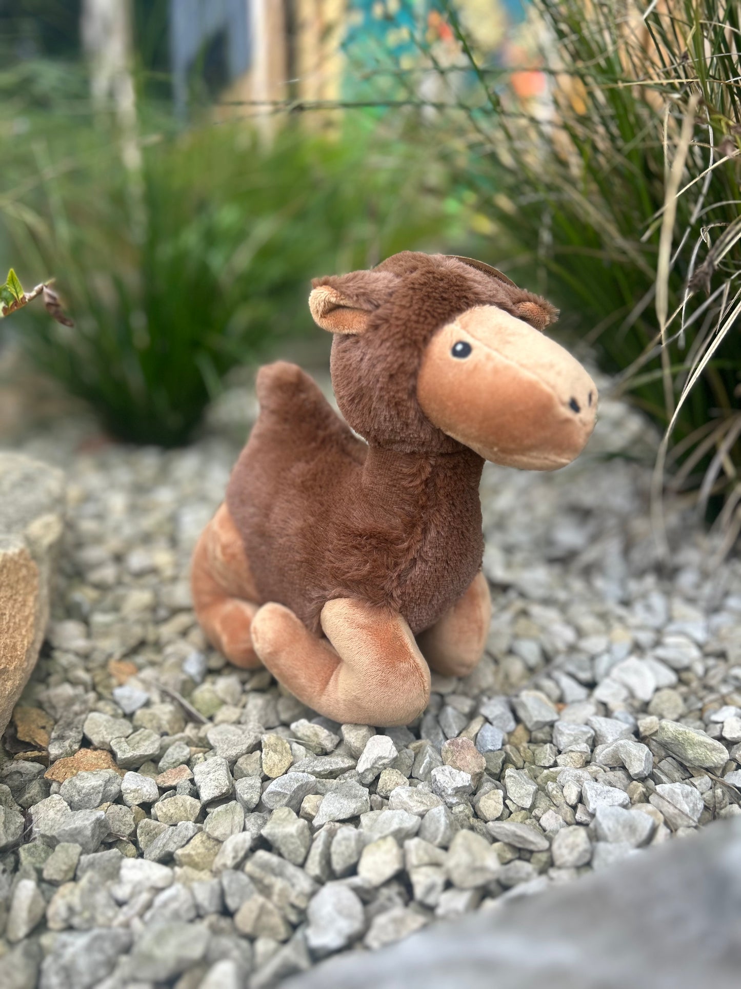 CARMEL CAMEL COW PLUSH TOY