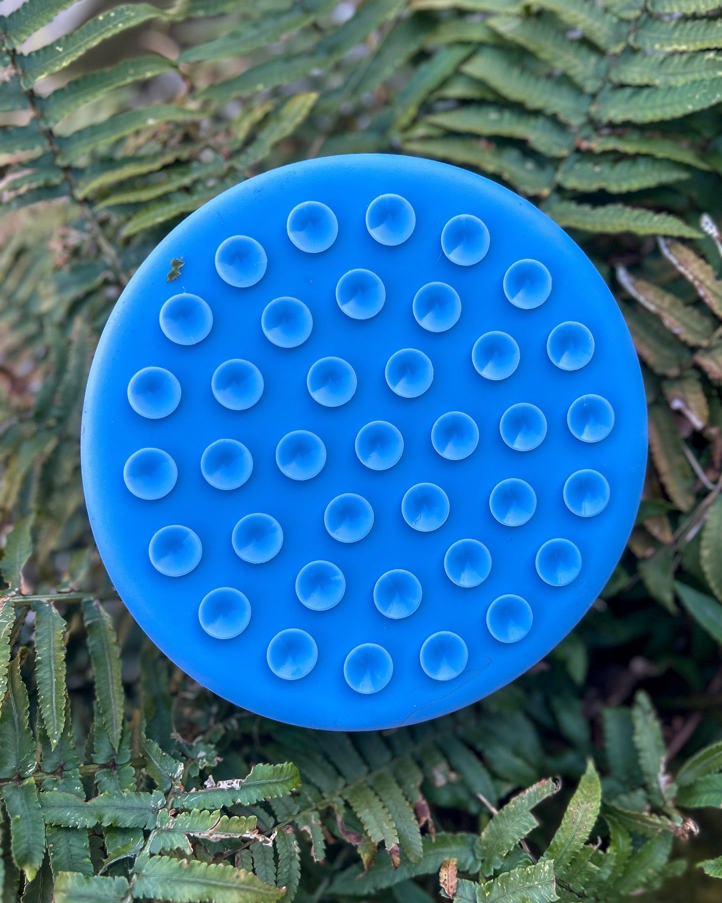 PAWS ON PLATES SILICONE SLOW FEEDER LICK BOWL