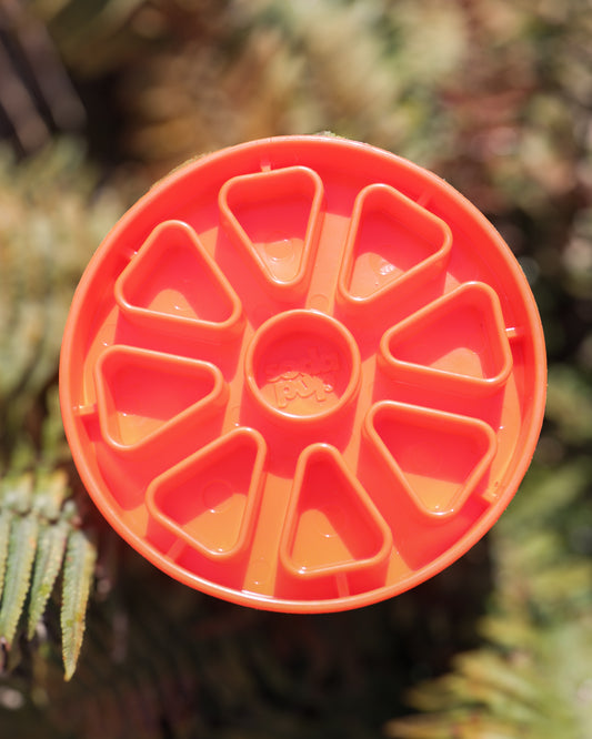 SODAPUP CITRUS SOFTIE EBOWL TRAY SLOW FEEDER