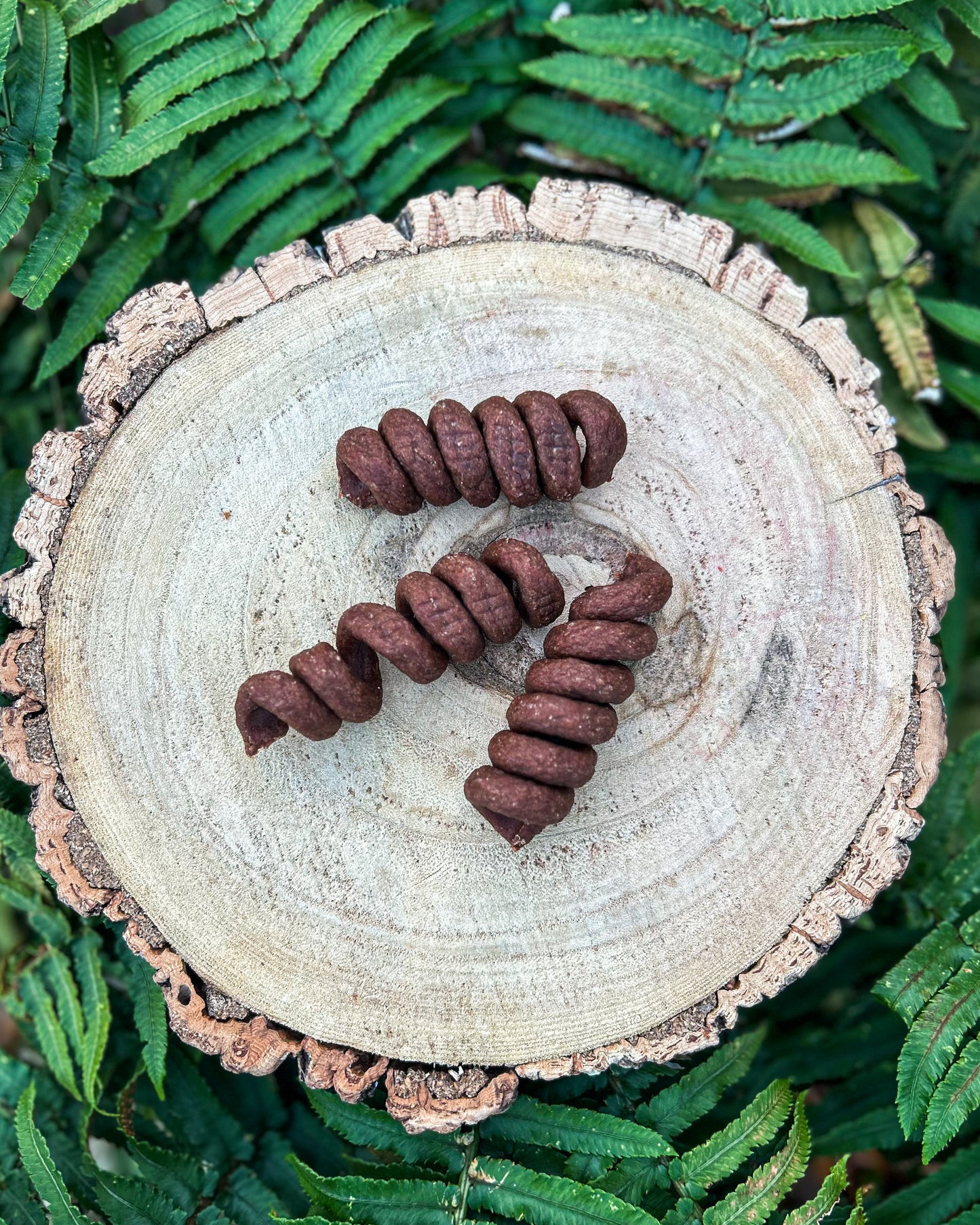 BEEFY TAILS CHEWY TREAT