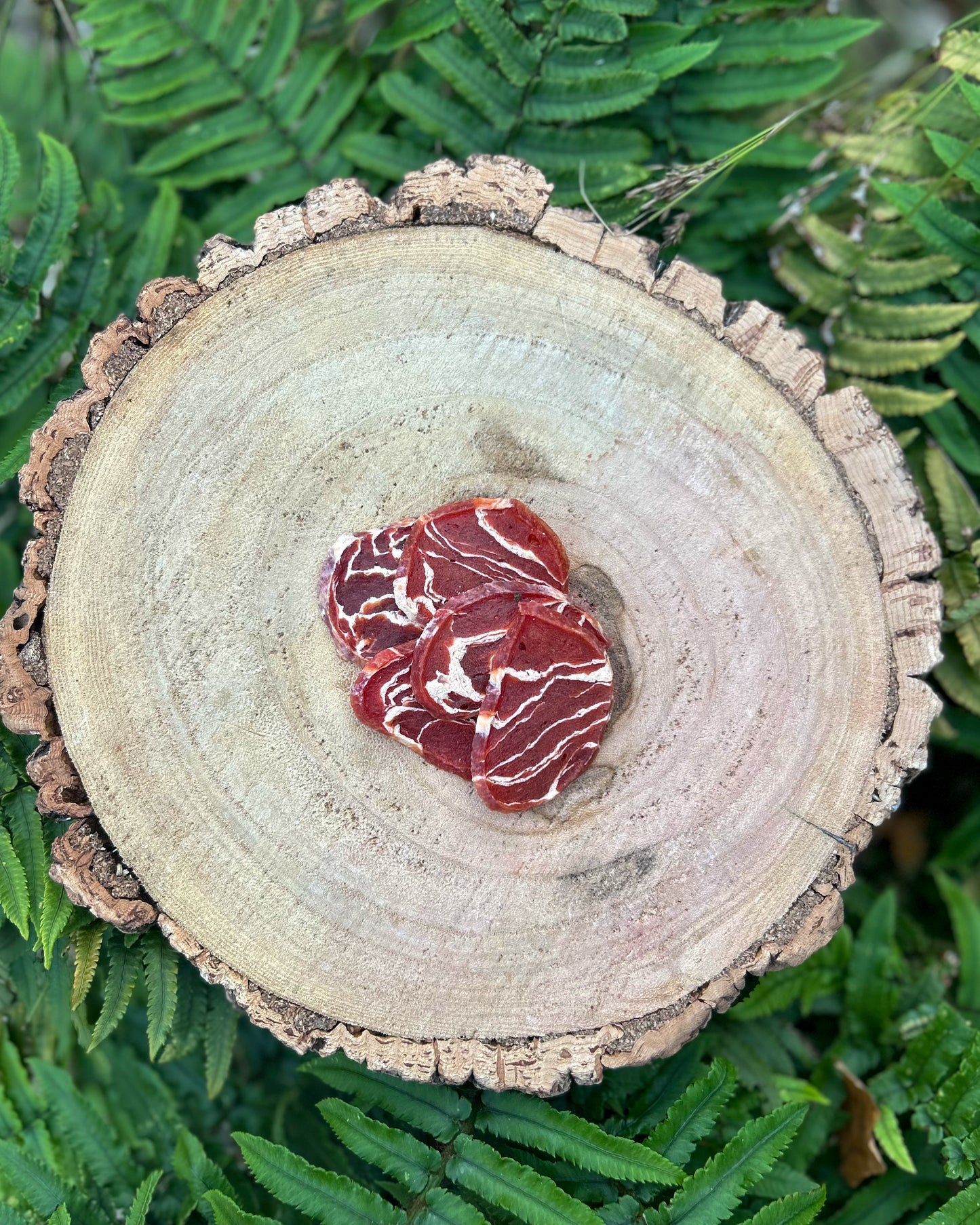 DUCK MEDALLION BITES