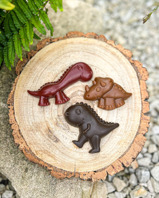 VEGGIE FRUITY DINO CHEWS 2 SIZES