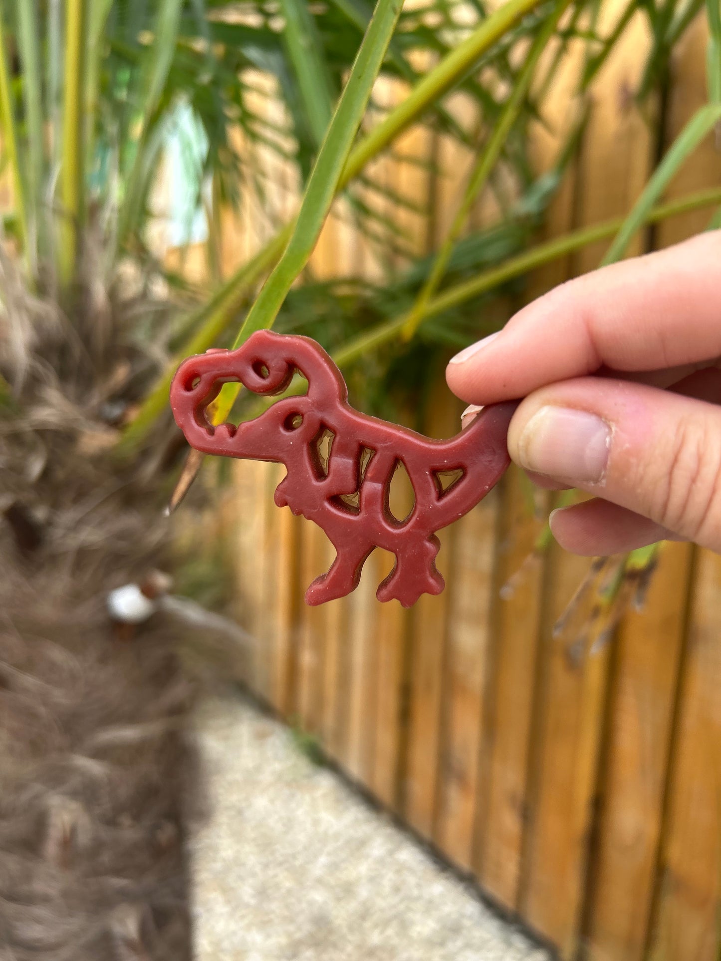 MEDIUM DENTAL DINO VEG & CHICKEN CHEW
