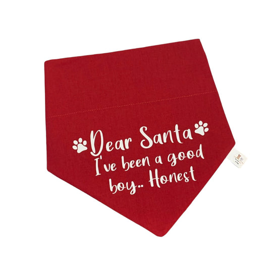 SANTA I’VE BEEN GOOD BOY HONEST