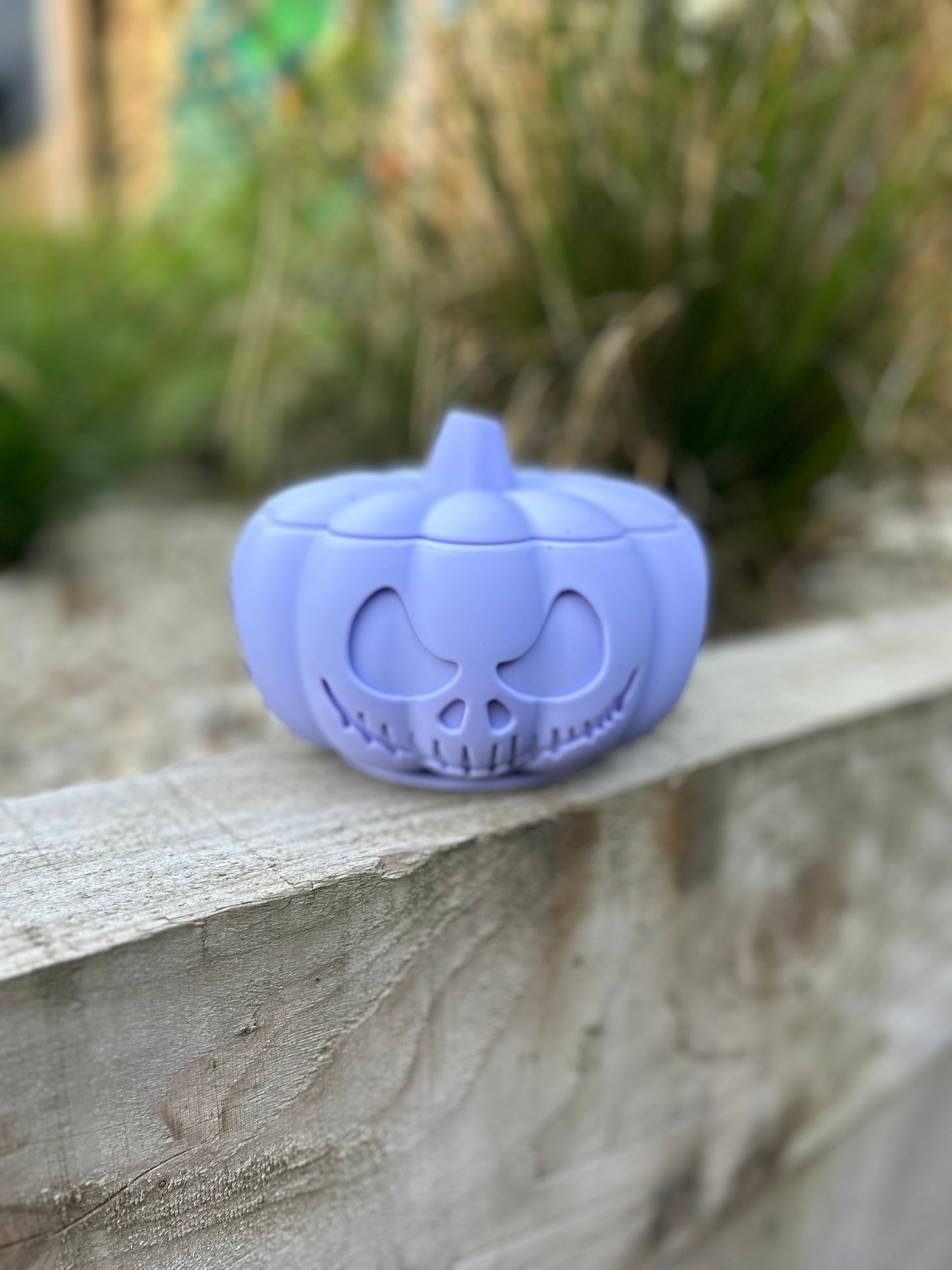 THE PUMPKIN POT ENRICHMENT BOWL