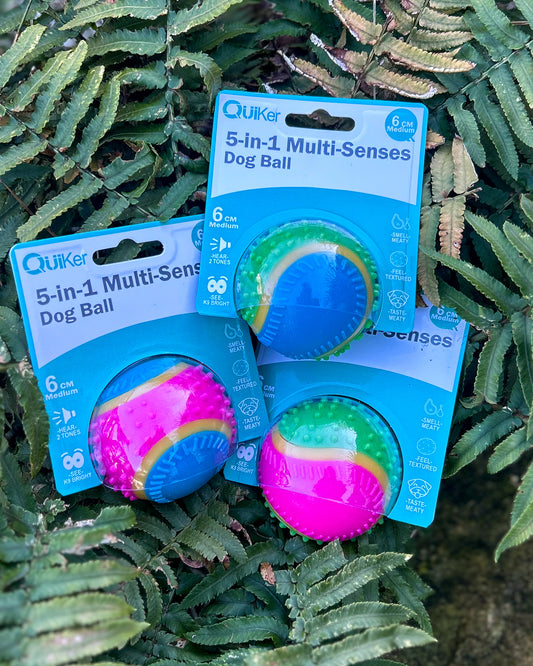5 SENSES SENSORY DOG BALL