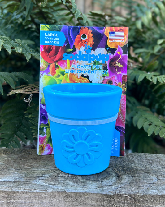 SODAPUP FLOWER POT