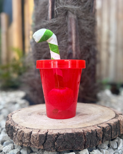 SUMMER SIZZLER BERRY & KIWI COCKTAIL TPR PLUSH TOY