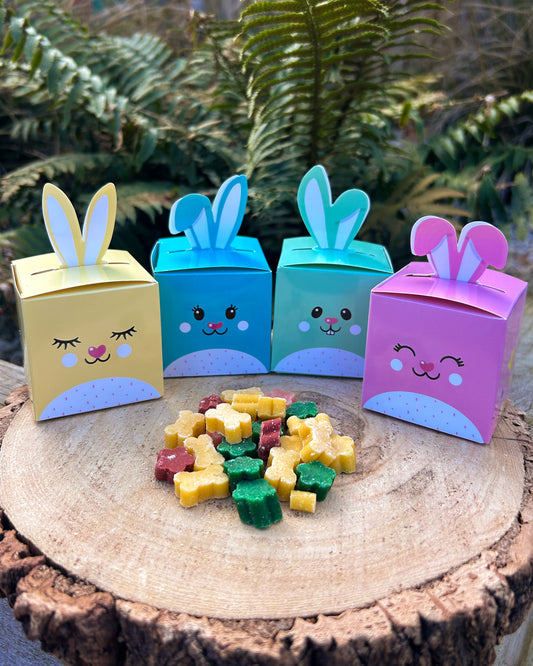 BUNNY BITES SPRING MINI TREAT BOX