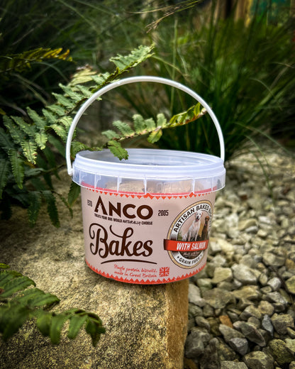 ANCO BAKES BISCUIT TREATS