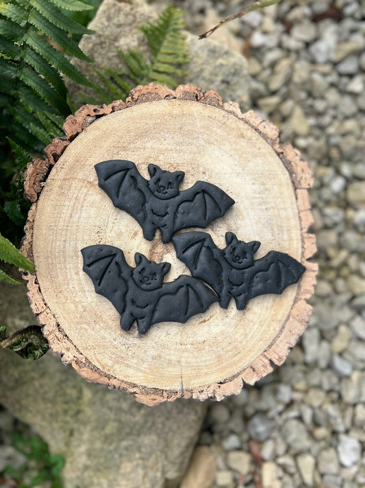APAWTISER SPOOKY CHARCOAL BAT 3 PACK BISCUIT TREATS