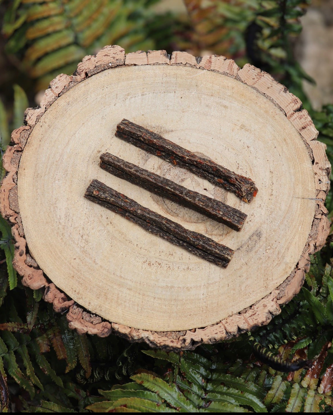 BEEF & CARROT JERKY STICK