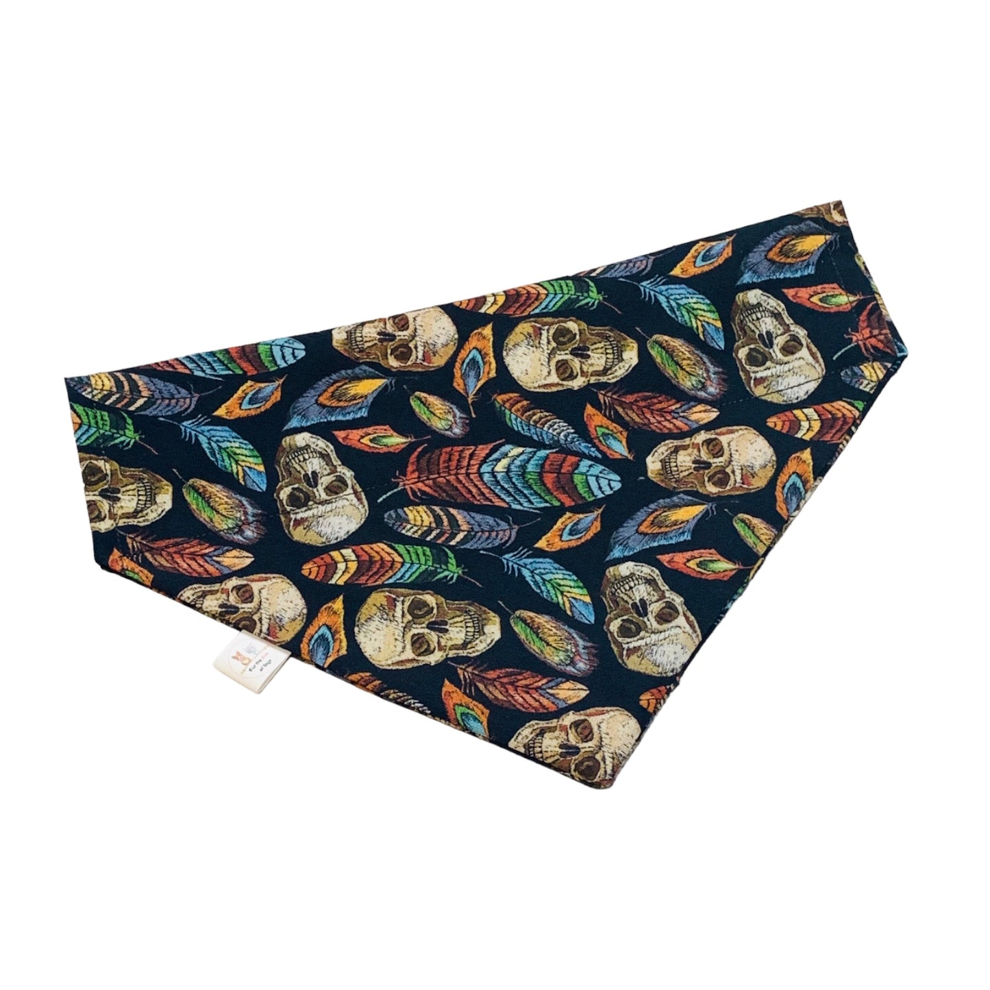 FEATHERS AND SKULLS